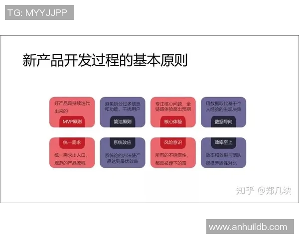 深入分析北京排球队的运营策略与市场推广模式