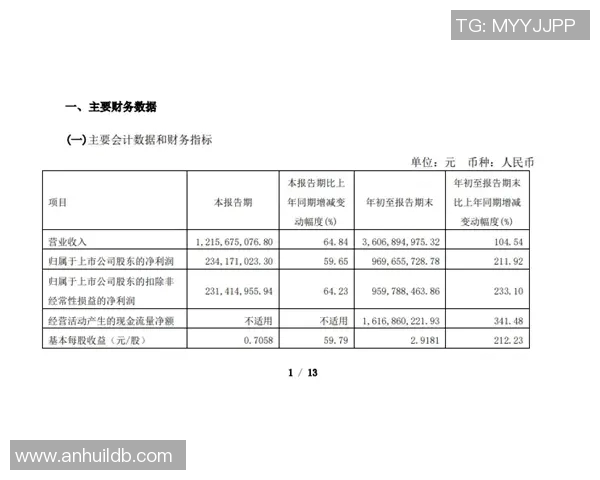 武汉网球队配合表现深度分析与战术优化研究报告 武汉网球队配合表现深度分析与战术优化研究报告