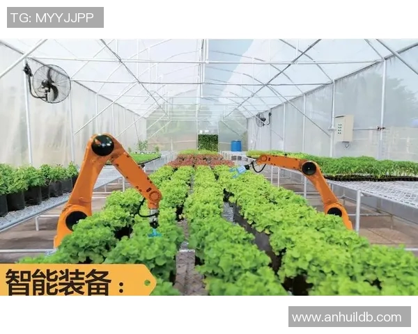 化工行业创新发展与绿色技术应用的未来趋势与挑战