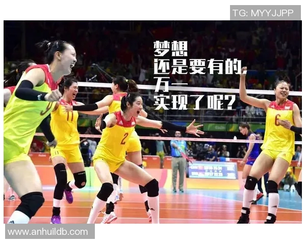 武汉排球队的转型之路与未来发展趋势深度解析