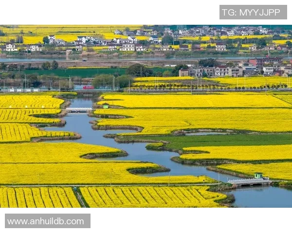 芜湖的地理文化与历史底蕴探析：一座江南水乡的多维解读